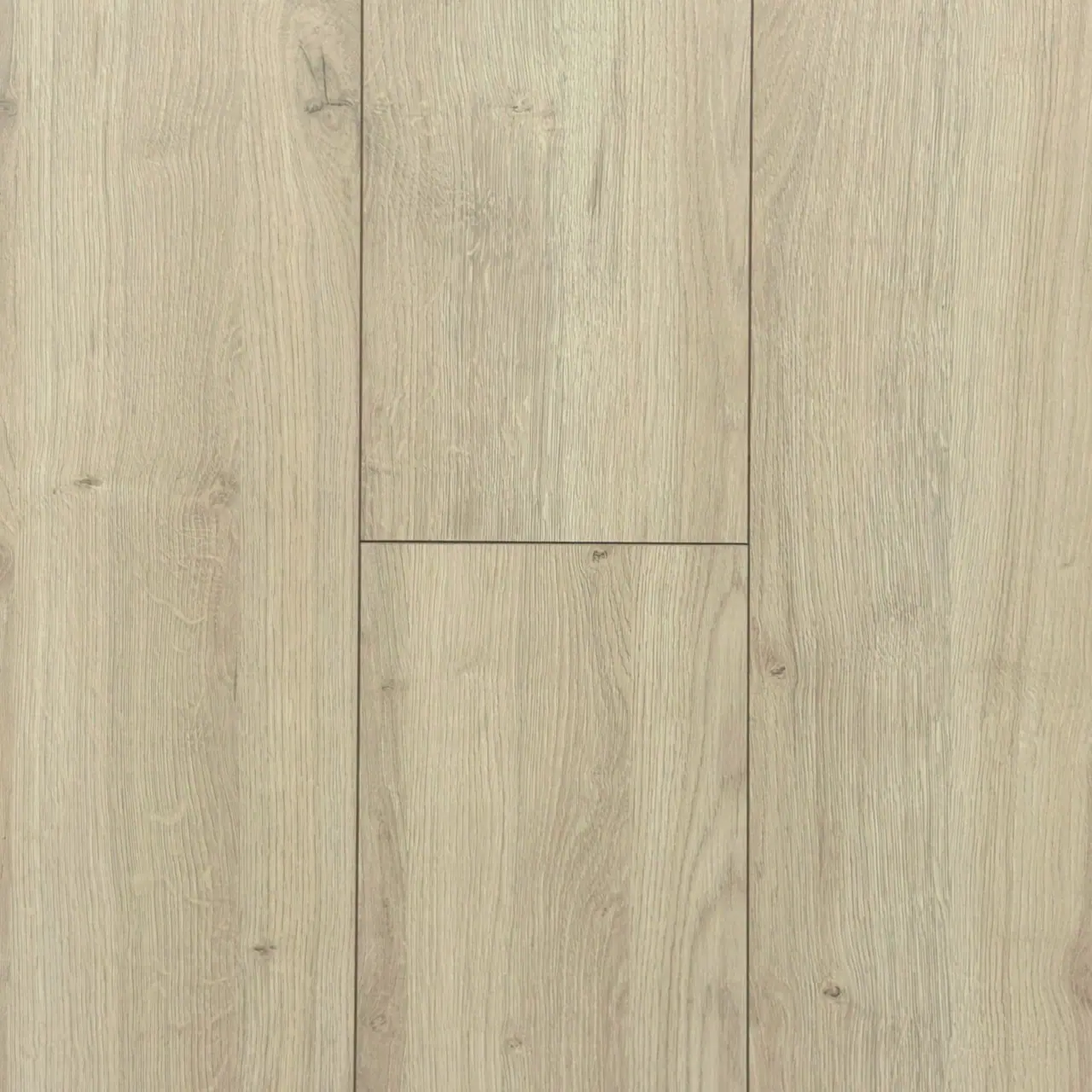 科迪橡木  樣板