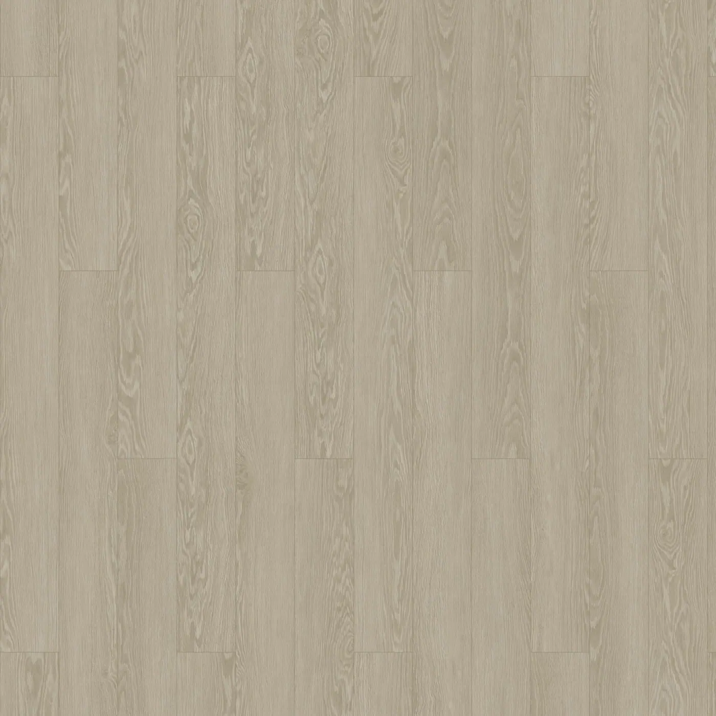 精萃橡木 Select Oak 樣板